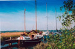 Grote beer 3.jpg