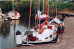 Grote beer 6.jpg