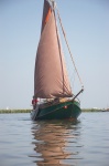 Pancratius 4.jpg