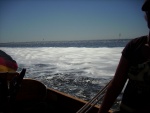 img3544.jpg