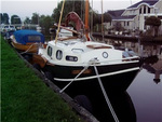 Dolfijn 1.jpg