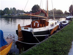 Dolfijn 2.jpg